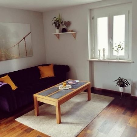 Ferienwohnung Suedschwarzwald Wehr  ภายนอก รูปภาพ