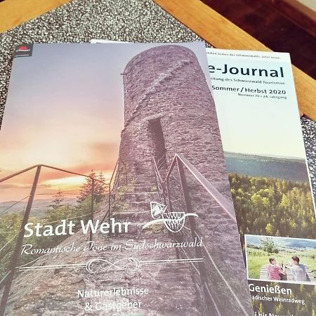 Ferienwohnung Suedschwarzwald Wehr  ภายนอก รูปภาพ